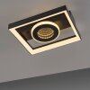 Paul Neuhaus Verlichting Traforo Plafondlamp LED Zwart, 1-licht, Afstandsbediening