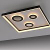 Paul Neuhaus Verlichting Dune Plafondlamp LED Zwart, 1-licht, Afstandsbediening