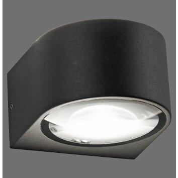 Paul Neuhaus Verlichting Carla Wandlamp LED Antraciet, 2-lichts