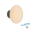 Paul Neuhaus Verlichting Olaf Wand- en plafondlamp LED Grijs, 1-licht