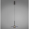 Paul Neuhaus Verlichting Vitrum Hanglamp LED Grijs, 2-lichts