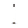 Paul Neuhaus Verlichting Vitrum Hanglamp LED Grijs, 2-lichts