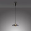 Paul Neuhaus Verlichting Vitrum Hanglamp LED Grijs, 2-lichts