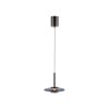 Paul Neuhaus Verlichting Vitrum Hanglamp LED Grijs, 2-lichts