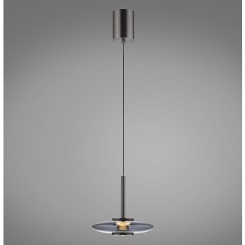 Paul Neuhaus Verlichting Vitrum Hanglamp LED Grijs, 2-lichts