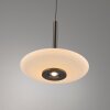 Paul Neuhaus Verlichting Vitrum Hanglamp LED Bruin, 2-lichts