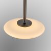 Paul Neuhaus Verlichting Vitrum Hanglamp LED Bruin, 2-lichts