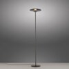 Paul Neuhaus Verlichting Vitrum Staande lamp LED Grijs, 2-lichts