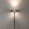 Paul Neuhaus Verlichting Vitrum Staande lamp LED Grijs, 2-lichts