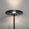 Paul Neuhaus Verlichting Vitrum Staande lamp LED Grijs, 2-lichts