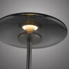 Paul Neuhaus Verlichting Vitrum Staande lamp LED Grijs, 2-lichts