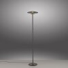 Paul Neuhaus Verlichting Vitrum Staande lamp LED Grijs, 2-lichts