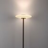 Paul Neuhaus Verlichting Vitrum Staande lamp LED Bruin, 2-lichts