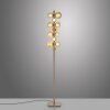 Paul Neuhaus Verlichting Popup Staande lamp LED Brons, 12-lichts