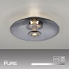 Paul Neuhaus Verlichting Vitrum Plafondlamp LED Grijs, 2-lichts