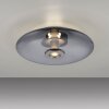 Paul Neuhaus Verlichting Vitrum Plafondlamp LED Grijs, 2-lichts