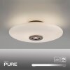 Paul Neuhaus Verlichting Vitrum Plafondlamp LED Bruin, 2-lichts