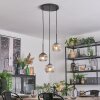 Ripoll Hanglamp, Kogellampje, Cluster hanglamp Duidelijk, Rookkleurig, 3-lichts