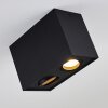 Baishan Plafondlamp Zwart, 2-lichts