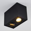Baishan Plafondlamp Zwart, 2-lichts