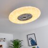 Petrovac plafondventilator LED Chroom, Wit, 1-licht, Afstandsbediening