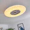 Petrovac plafondventilator LED Chroom, Wit, 1-licht, Afstandsbediening