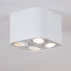 Baishan Plafondlamp Wit, 4-lichts