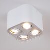 Baishan Plafondlamp Wit, 4-lichts