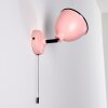 Catharine Muurlamp Roze, 1-licht