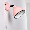 Catharine Muurlamp Roze, 1-licht