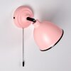 Catharine Muurlamp Roze, 1-licht